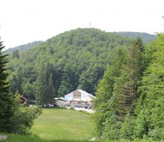 Koča na Sviščakih